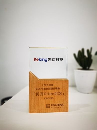 2020 OSC 中国开源项目评选优秀 Gitee 组织